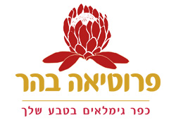 לקוח